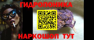 бошки Гай