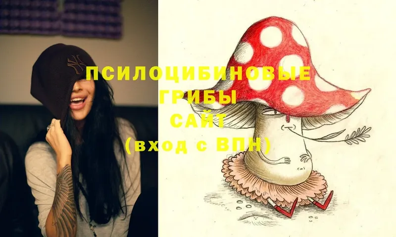 Галлюциногенные грибы MAGIC MUSHROOMS  Камышлов 