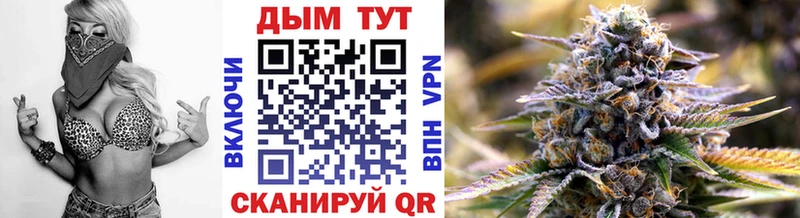 Каннабис Amnesia  darknet наркотические препараты  Камышлов  закладки  omg как зайти 
