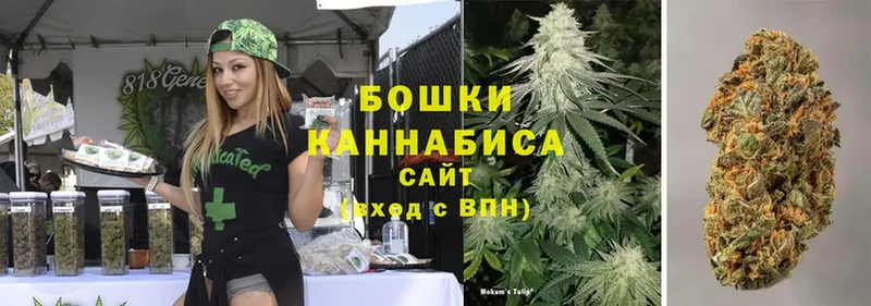 цены наркотик  Камышлов  Бошки Шишки SATIVA & INDICA 